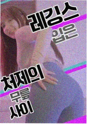剧场版 忍者之路 海报
